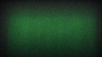 The primary subject of the image is a green patterned surface, which appears to be a textured fabric or a wallpaper with a green and black color scheme. The setting is indoors, possibly in a room with a wall or a piece of furniture featuring this pattern. The visual style of the image is a close-up, focusing on the intricate details of the pattern. The colors and mood of the image are vibrant and lively, with the green and black colors creating a sense of freshness and modern