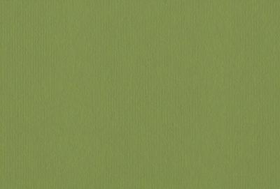 The primary subject of the image is a green wall. The setting is a room with a green wall, and the visual style is a close-up of the wall. The colors and mood of the image are predominantly green, creating a calm and soothing atmosphere.