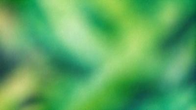 The primary subject of the image is a close-up of a green leaf. The setting is a green background, which adds to the natural and vibrant atmosphere of the image. The visual style is a close-up of a leaf, which emphasizes the intricate details of the plant. The colors and mood of the image are predominantly green, creating a sense of freshness and vitality.