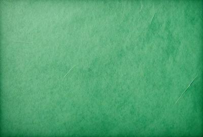 The primary subject of the image is a green background. The setting is a green wall, and the visual style is a photo. The colors and mood of the image are predominantly green, creating a calm and serene atmosphere.