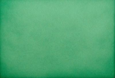 The primary subject of the image is a green background. The setting is a plain, green surface, which serves as the background. The visual style is a close-up of the green background, showcasing its color and texture. The colors and mood of the image are predominantly green, creating a calm and serene atmosphere.