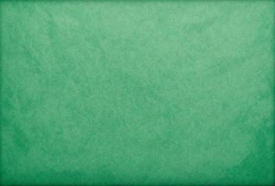 The primary subject of the image is a green background. The setting is a plain, green surface, which serves as the background. The visual style is a photo, capturing the green background in detail. The colors and mood of the image are predominantly green, creating a calm and serene atmosphere.
