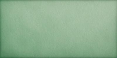 The primary subject of the image is a green background. The setting is a plain, uncluttered space with no visible objects or people. The visual style is a simple, clean, and unadorned presentation. The colors and mood are predominantly green, creating a calm and serene atmosphere.