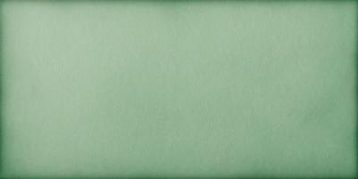 The primary subject of the image is a large, green piece of paper. The setting is a plain, white background, and the visual style is a close-up of the paper. The colors and mood of the image are predominantly green, giving it a calm and serene atmosphere.