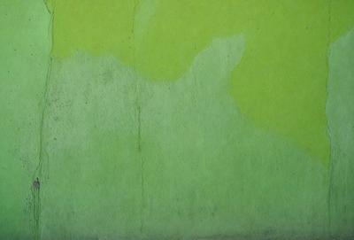 The primary subject of the image is a green wall with a pattern of green and white. The setting is a room with a green wall, and the visual style is a close-up of the wall. The colors and mood of the image are predominantly green, creating a calm and soothing atmosphere.