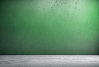 The primary subject of the image is a green wall. The setting is a room with a green wall, and the visual style is a photo. The dominant colors are green, and the overall atmosphere is calm and serene.