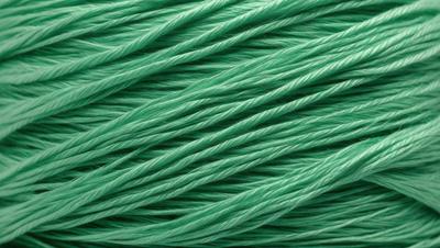The primary subject of the image is a close-up of a green rope. The setting is a green background, which creates a vibrant and lively atmosphere. The visual style is a close-up of the rope, showcasing its texture and details. The colors and mood of the image are predominantly green, giving it a fresh and natural feel.