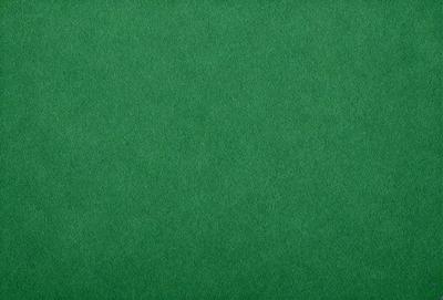The primary subject of the image is a large, green, textured surface. The setting is a green background, which creates a vibrant and lively atmosphere. The visual style is a close-up of the green surface, showcasing its texture and color. The colors and mood of the image are predominantly green, giving it a fresh and natural feel.