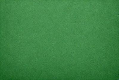 The primary subject of the image is a large, green, textured surface. The setting is a brightly lit room, and the visual style is a close-up of the green surface. The colors and mood of the image are predominantly green, creating a calm and serene atmosphere.