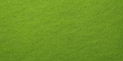 The primary subject of the image is a close-up of a green surface, which appears to be a carpet or a grassy area. The setting is indoors, with the green surface covering the entire frame. The visual style is a close-up, which emphasizes the details of the green surface. The colors and mood of the image are predominantly green, creating a calm and natural atmosphere.