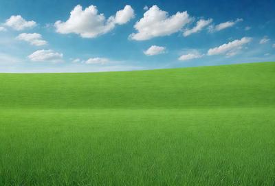 The primary subject of the image is a lush green field with a cloudy blue sky in the background. The field is filled with grass, creating a serene and peaceful atmosphere. The visual style of the image is a photo, capturing the natural beauty of the landscape. The colors and mood of the image are predominantly green and calming, reflecting the tranquility of the scene.