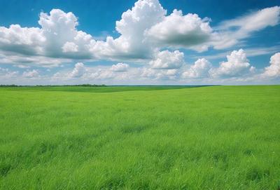 The image features a lush green field with a cloudy blue sky in the background. The field is filled with tall grass, creating a serene and peaceful atmosphere. The primary subject of the image is the vast expanse of green grass, which is the main focus of the scene. The setting is a large, open field with a cloudy blue sky in the background, giving the image a natural and tranquil visual style.