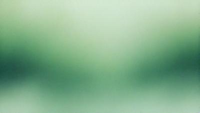 The primary subject of the image is a green background, which creates a vibrant and lively atmosphere. The setting is a large, open space with a green hue, possibly a forest or a field. The visual style of the image is a close-up of the green background, emphasizing the color and texture. The colors and mood of the image are predominantly green, giving it a fresh and natural feel.