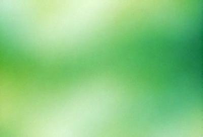 The primary subject of the image is a close-up of a green leaf. The setting is a green background, which creates a natural and vibrant atmosphere. The visual style is a photo, capturing the intricate details of the leaf. The colors and mood are predominantly green, reflecting the natural environment and the leaf's freshness.