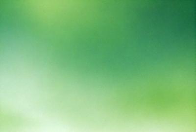 The primary subject of the image is a large, bright green background. The setting is a lush, green environment, possibly a forest or a field. The visual style is a close-up of the green background, which creates a sense of depth and focus. The colors and mood of the image are predominantly green, giving it a fresh and vibrant appearance.