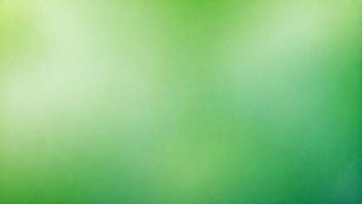 The primary subject of the image is a green background. The setting is a large, empty space with no visible objects or people. The visual style is a close-up of the green background, which appears to be a pattern or texture. The colors and mood of the image are predominantly green, creating a calm and serene atmosphere.