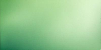 The primary subject of the image is a large, empty wall painted in a bright green color. The setting is a room with a green background, and the visual style appears to be a photo. The dominant colors and overall atmosphere are vibrant and lively, creating a sense of freshness and energy.