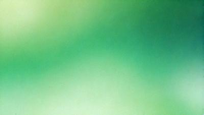 The primary subject of the image is a green background, which is the main object, scene, or focus of the image. The setting/background is a green wall, and the visual style is a photo. The colors and mood of the image are predominantly green, creating a calm and serene atmosphere.