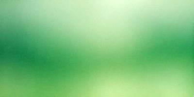 The primary subject of the image is a green background, which appears to be a wall or a piece of artwork. The setting is a room with a green wall, and the visual style is a close-up of the green background. The colors and mood of the image are predominantly green, creating a calm and serene atmosphere.