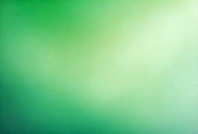 The primary subject of the image is a green background. The setting is a plain, green wall, and the visual style is a photo. The colors and mood of the image are predominantly green, creating a calm and serene atmosphere.