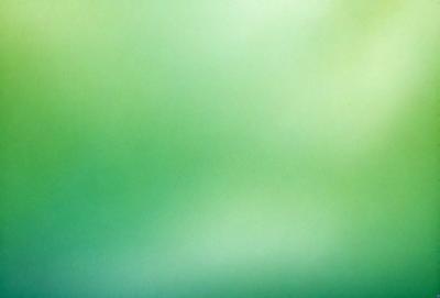 The primary subject of the image is a large, bright green field. The setting is a lush, green environment, with no visible background or surface. The visual style of the image is a photo, capturing the vibrant colors and natural beauty of the green field. The colors and mood of the image are predominantly green, creating a serene and peaceful atmosphere.