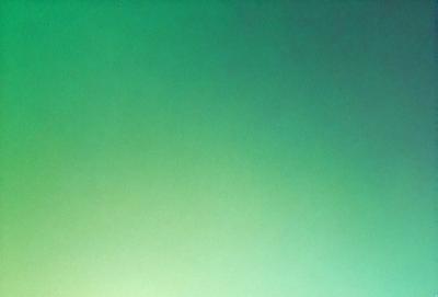 The primary subject of the image is a large, bright green wall. The setting is a room with a green background, which creates a vibrant and lively atmosphere. The visual style is a close-up of the green wall, showcasing its vivid color and texture. The colors and mood of the image are predominantly green, giving it a fresh and inviting appearance.