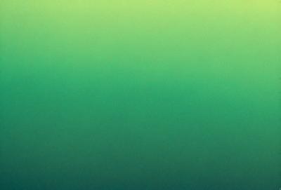 The primary subject of the image is a large, bright green wall. The setting is a dark room, and the visual style is a photo. The dominant colors are green, and the overall atmosphere is vibrant and lively.