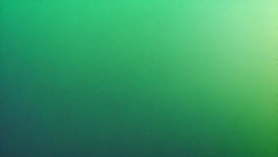 The primary subject of the image is a green background. The setting is a dark, green environment, which creates a moody atmosphere. The visual style is a photo, capturing the green hue of the background.