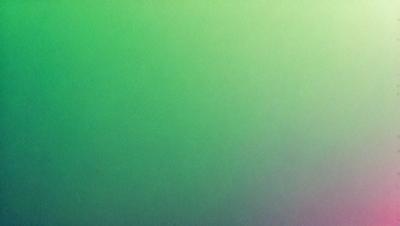 The primary subject of the image is a large, bright green wall. The setting is a room with a green background, and the visual style is a photo. The dominant colors in the image are green, and the overall atmosphere is vibrant and lively.