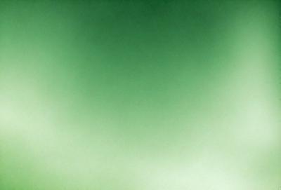The primary subject of the image is a large, bright green wall. The setting is a room with a green background, which creates a vibrant and lively atmosphere. The visual style is a close-up of the green wall, showcasing its color and texture. The dominant colors are green, and the overall mood is energetic and refreshing.