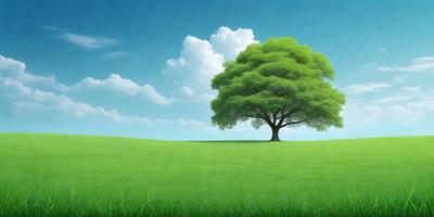 The primary subject of the image is a large, lush green tree with a trunk, situated in a grassy field. The setting is a vast, open field with a blue sky in the background. The visual style is a digital art or illustration, creating a serene and natural atmosphere. The dominant colors are green and blue, reflecting the lushness of the tree and the tranquility of the scene.