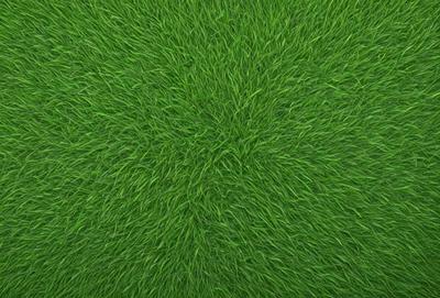The primary subject of the image is a close-up of a lush green field. The setting is a grassy area, and the visual style is a photo. The dominant colors are green, and the overall atmosphere is vibrant and natural.