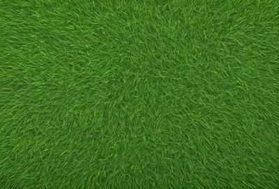 The primary subject of the image is a close-up of a lush green field. The setting is a grassy area, and the visual style is a photo. The dominant colors are green, and the overall atmosphere is vibrant and natural.
