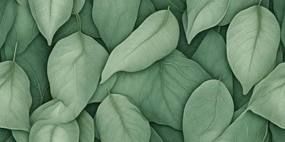 The image features a large group of green leaves, possibly from a plant or a tree. The leaves are arranged in a pattern, creating a visually appealing scene. The primary subject of the image is the green leaves, which are the main focus of the image. The setting is outdoors, with the leaves being the main subject in the foreground. The visual style of the image is a close-up of the green leaves, showcasing their intricate details. The colors and mood of the image are predominantly green