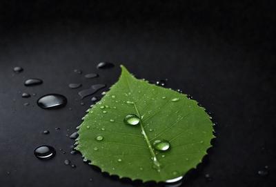 The primary subject of the image is a green leaf with water droplets on it. The leaf is placed on a black surface, which serves as the setting or background. The visual style of the image is a close-up of the leaf, showcasing its details and the water droplets. The colors in the image are predominantly green, which gives the scene a natural and fresh atmosphere.