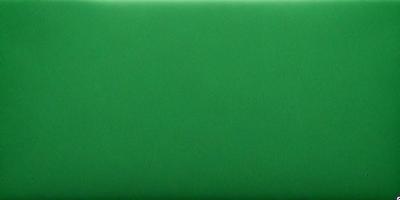 The primary subject of the image is a green background. The setting is a plain, uncluttered space. The visual style is a close-up of the green background, which appears to be a solid color. The colors and mood of the image are predominantly green, creating a calm and serene atmosphere.