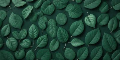 The primary subject of the image is a large collection of green leaves, which are arranged in a pattern on a green background. The leaves are displayed in various shapes and sizes, creating a visually appealing and lush scene. The visual style of the image is a combination of photo and digital art, as it captures the natural beauty of the leaves while also showcasing the artist's creativity in arranging them. The colors and mood of the image are predominantly green, which adds to the overall atmosphere of freshness