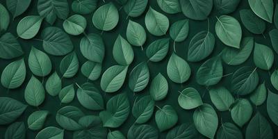 The primary subject of the image is a large collection of green leaves, which are arranged in a pattern on a green background. The leaves are displayed in various shapes and sizes, creating a visually appealing and lush scene. The visual style of the image is a combination of photo and digital art, as it captures the natural beauty of the leaves while also showcasing the artist's creativity in arranging them. The colors and mood of the image are predominantly green, which adds to the overall atmosphere of freshness
