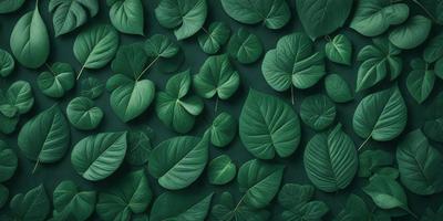 The primary subject of the image is a large group of green leaves, which are arranged in a visually appealing manner. The leaves are displayed on a green background, creating a vibrant and lively atmosphere. The visual style of the image is a combination of photo and digital art, as it captures the natural beauty of the leaves while also showcasing the artist's creativity in arranging them. The colors and mood of the image are predominantly green, which is associated with nature, growth, and tranqu