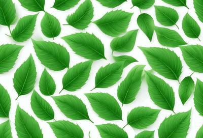 The primary subject of the image is a large number of green leaves arranged in a pattern. The leaves are displayed on a white background, creating a visually appealing contrast. The visual style of the image is a combination of photo and digital art, as it appears to be a close-up of a leaf pattern. The dominant colors in the image are green, which is the color of the leaves, and white, which serves as the background. The overall atmosphere of the image is lively and vibrant, as the green leaves create a