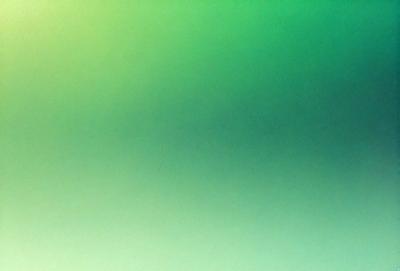 The primary subject of the image is a green background. The setting is a bright green environment, which creates a lively and vibrant atmosphere. The visual style of the image is a photo, capturing the vivid colors and details of the green background. The colors and mood of the image are predominantly green, with a sense of freshness and energy.