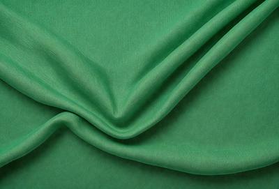 The primary subject of the image is a green fabric, which is the main object, scene, or focus of the image. The setting or background is a green cloth, and the visual style is a photo. The colors and mood of the image are predominantly green, creating a calm and serene atmosphere.
