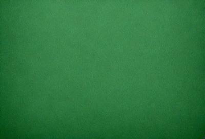 The primary subject of the image is a large, bright green surface. The setting is a plain, empty room with no other objects or people visible. The visual style is a close-up of the green surface, which appears to be a wall or a large piece of fabric. The colors and mood of the image are predominantly green, creating a calm and serene atmosphere.