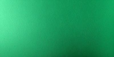 The primary subject of the image is a green background. The setting is a large, unoccupied space with a green surface. The visual style is a close-up of the green background, which gives the image a clean and uncluttered appearance. The colors and mood of the image are predominantly green, creating a calm and serene atmosphere.