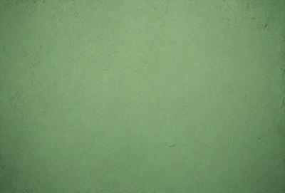 The primary subject of the image is a green wall. The setting is a room with a green wall, and the visual style is a photo. The dominant colors are green, and the overall atmosphere is calm and serene.