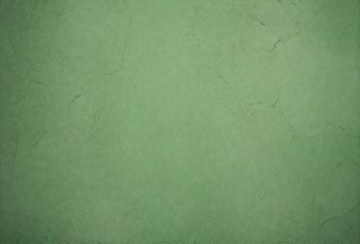The primary subject of the image is a green wall with a textured surface. The setting is a room with a green wall, and the visual style is a close-up of the wall. The colors and mood of the image are predominantly green, creating a calm and soothing atmosphere.
