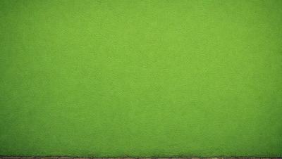 The primary subject of the image is a large, green wall. The setting is a room with a green background, which creates a vibrant and lively atmosphere. The visual style is a close-up of the green wall, showcasing its texture and color. The dominant colors are green, which creates a sense of freshness and tranquility.