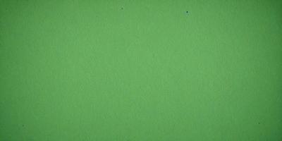 The primary subject of the image is a green background. The setting is a large, unblemished green surface, which appears to be a piece of paper or a wall. The visual style is a close-up of the green background, showcasing its vibrant color. The colors and mood of the image are predominantly green, creating a calm and serene atmosphere.