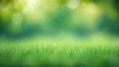 The image features a lush green field with a bright, sunny atmosphere. The primary subject is the grass, which is the main focus of the image. The setting is an outdoor environment, with the grassy field as the background. The visual style is a photo, capturing the natural beauty of the grassy field. The colors and mood are predominantly green, with a warm and inviting ambiance.