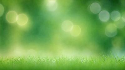 The image features a lush green field with a bright, sunny atmosphere. The primary subject is the grass, which is the main focus of the image. The setting is an outdoor environment, with the grassy field being the background. The visual style is a photo, capturing the natural beauty of the grassy field. The colors and mood are predominantly green, with a warm and inviting ambiance.